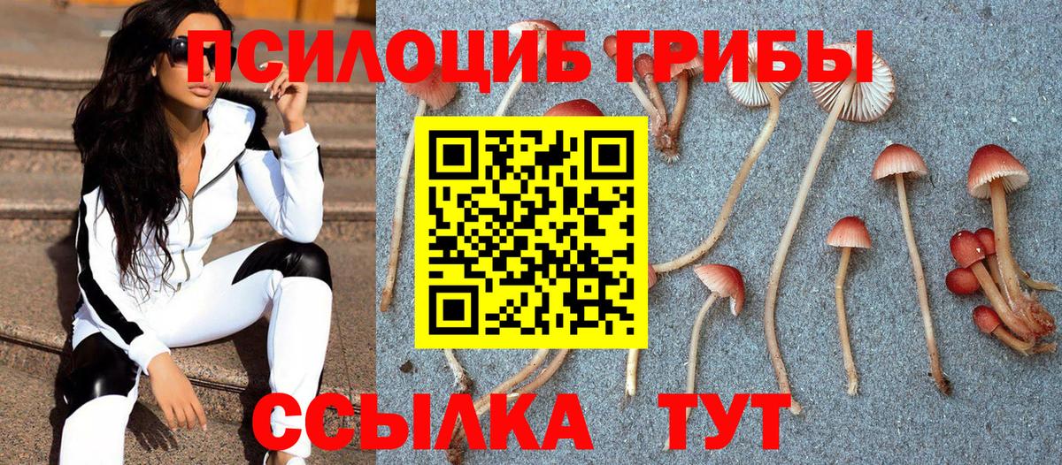Псилоцибиновые грибы ЛСД Сальск