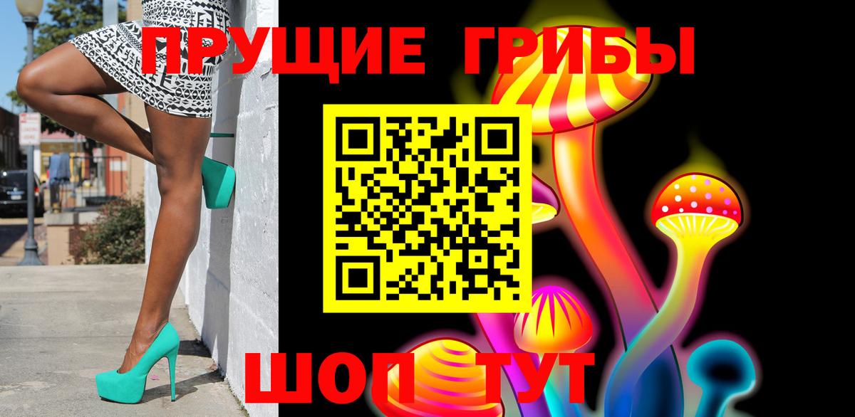 Сальск  купить   Вход с VPN  Псилоцибиновые грибы ЛСД 