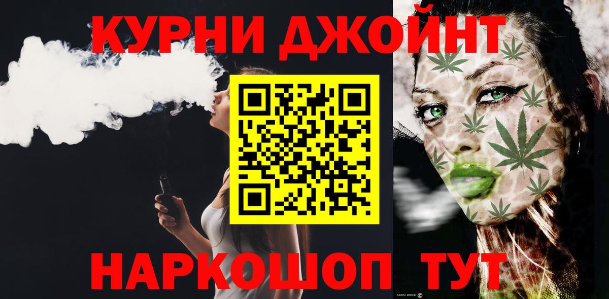 Канабис сатива Сальск